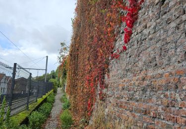 Tocht Stappen Luik - ADEPS - THIER A LIEGE  - Photo