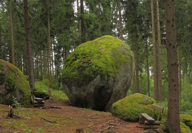 Tour Zu Fuß Gemeinde Groß Gerungs - Weltkugel - Wanderweg 31 - Photo