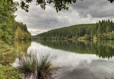 Percorso A piedi Wermelskirchen - unverDHÜNNt 2 - Photo