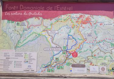 Trail Walking Saint-Raphaël - lac Aubert ravin du malinfermé - Photo