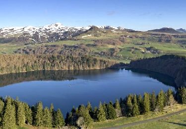 Randonnée Marche Besse-et-Saint-Anastaise - Besse_Lac_Pavin - Photo