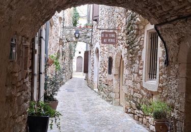 Tour Wandern Saint-Martin-d'Ardèche - Aigueze rocher de Castelviel - Photo