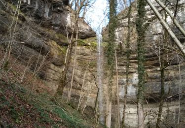 Tour Wandern  - Mongesoye 12 déc 2019 CAF - Photo