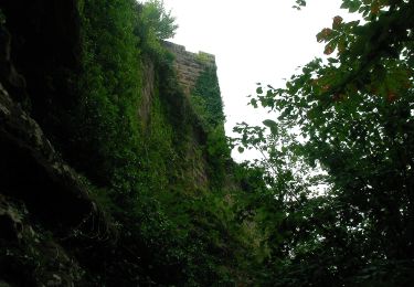 Tour Zu Fuß Philippsburg - Roter Punkt - Photo