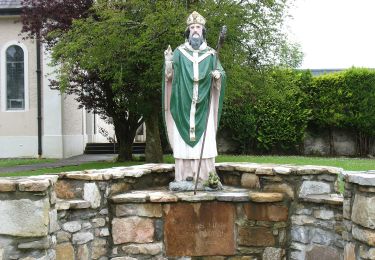 Trail On foot Roscommon Municipal District - Easgaidh - Photo