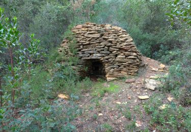 Excursión Senderismo La Cadière-d'Azur - St Cyr sur mer, le grand Caunet, fours à cade... - Photo