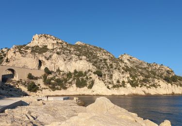 Randonnée Marche Le Rove - La Vesse - Photo