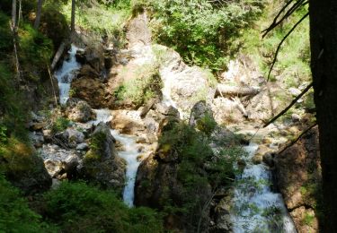 Randonnée Marche Cortina d'Ampezzo - Gorges et Lac de Federa - Photo