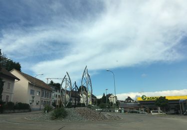 Tour Zu Fuß Lostorf - Rankwog - Lostorf - Photo