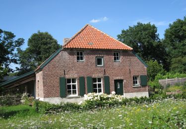 Tocht Te voet Bergen - Wandelroute Duvelskuul - Photo