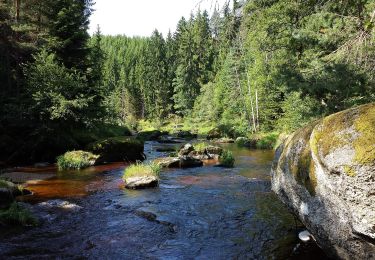 Excursión A pie Gemeinde Großgöttfritz - Riesensteig - Photo