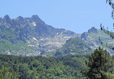 Tour Wandern Vivario - cascade  de manganello et de meli - Photo