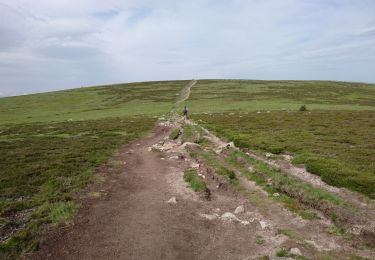 Percorso Marcia Mont Lozère et Goulet - 210617 - Mont Lozère  - Photo
