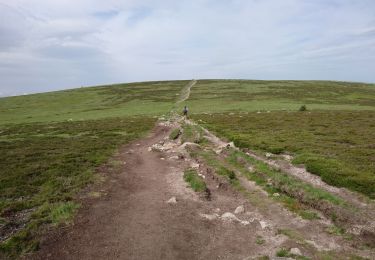 Randonnée Marche Mont Lozère et Goulet - 210617 - Mont Lozère  - Photo