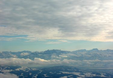 Tocht Te voet Zell (ZH) - Oberlangenhard - Hand - Photo