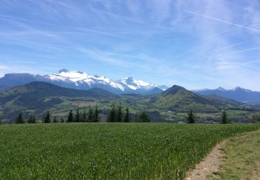 Randonnée Marche Treffort - Boucle de Treffort - Photo