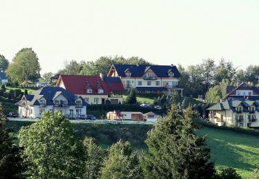 Tour Zu Fuß Polańczyk - Perła polańczyka - Photo