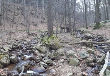 Tocht Stappen Spa - la havette . berinzenne . thier des rexhons . source geronstere . source barisart .  chapelle de la Roche . la havette  - Photo