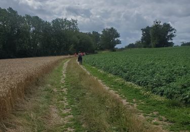 Tocht Noords wandelen Voeren - fourons-le-comte - Photo