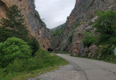 Excursión Senderismo La Javie - vélodrome esclangon 17kms 1049m - Photo