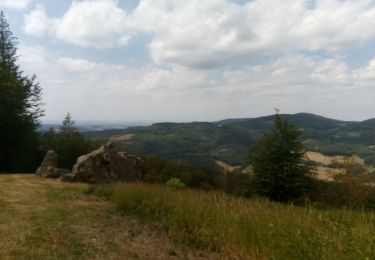 Excursión Senderismo Saint-Léger-sous-Beuvray - Bibracte autour du Montt Breuvay - Photo