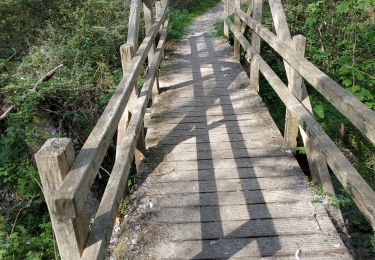 Tour Wandern Saint-Étienne-au-Mont - randonnée Caroline - Photo