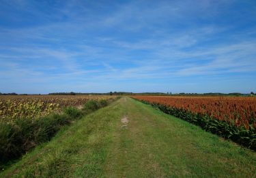 Excursión Senderismo Sorigny - Sorigny - GR655 la Couarde - 18.4km 60m 4h05 - 2023 09 24 - Photo