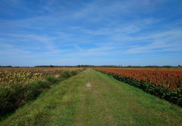 Tour Wandern Sorigny - Sorigny - GR655 la Couarde - 18.4km 60m 4h05 - 2023 09 24 - Photo