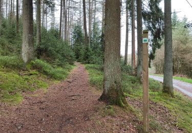 Trail Walking Waimes - mazzoni - Photo