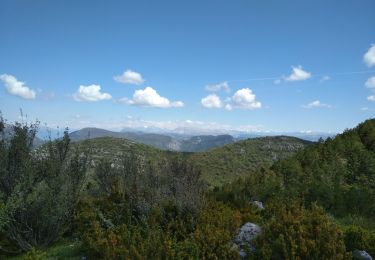 Trail Walking Saint-Jurs - col de jurs vers montdenier - Photo