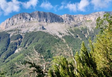 Trail Walking Tella-Sin - miradores de Revilla - Photo