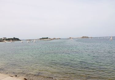 Excursión Senderismo Penvénan - Pointe des trois châteaux Trestel - Photo