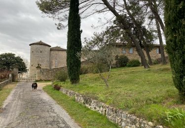 Excursión Senderismo Rousson - Le plateau de Rousson - Photo