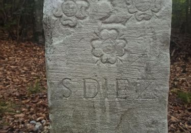 Randonnée V.T.T. Sainte-Hélène - Sainte_Hélène Vosges - Photo