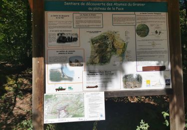 Percorso Marcia Chapareillan - Le lac noir - Photo