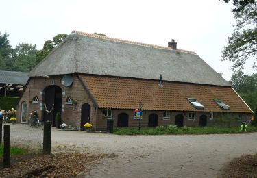 Tocht Te voet Putten - Huinerpad - Photo