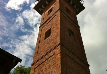 Percorso A piedi Regenstauf - Wanderfreunde Regenstauf: Eichhornweg - Photo