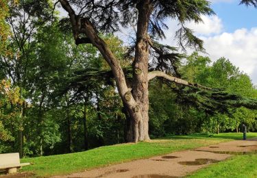 Tour Wandern Falaise - Falaise - Photo
