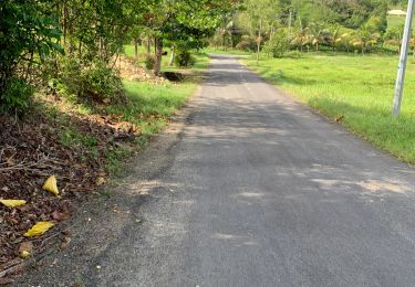 Tocht Trail Sainte-Anne - Belle mare  - Photo