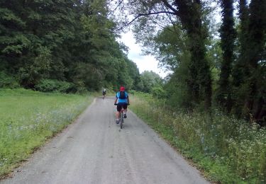 Percorso A piedi  - Dobra Voda - Staklana - Photo