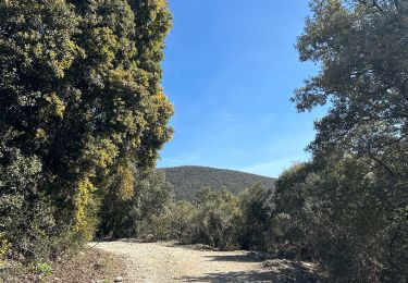 Tour Wandern Le Pègue - Le pègue 1 - Photo