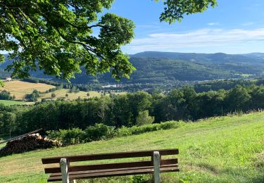 Trail Horseback riding Ban-de-Laveline - Ban de Laveline- Fraize - Photo