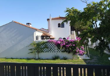 Tour Wandern Noirmoutier-en-l'Île - Jacobsen  - Photo