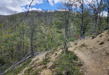 Tour Wandern Chile Chico - Cerro Fosiles - Photo
