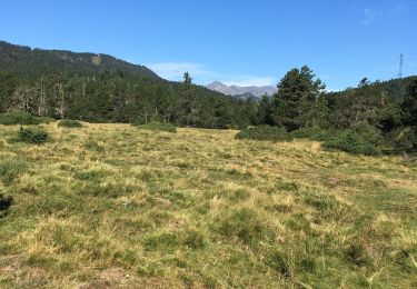 Trail Walking Bolquère - Pla de Barrès - Photo