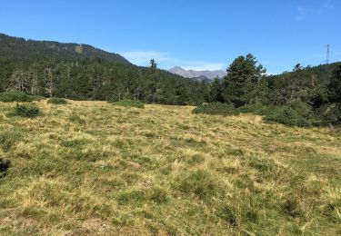 Tocht Stappen Bolquère - Pla de Barrès - Photo