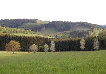 Tour Zu Fuß Hilchenbach - Jung-Stilling-Rundweg - Photo