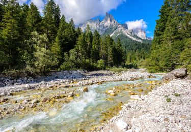 Tour Zu Fuß Canale d'Agordo - IT-E707 - Photo