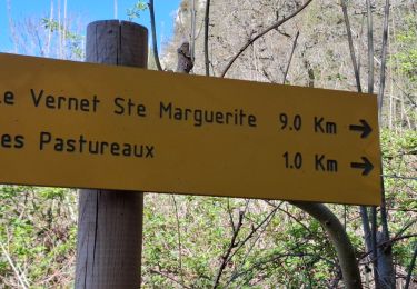 Percorso Marcia Chambon-sur-Lac - BOUCLE AUTOUR DE LA COUZE DE SURAINS - Photo