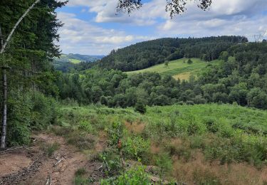 Trail Walking Saint-Didier-en-Velay - la séance - Photo
